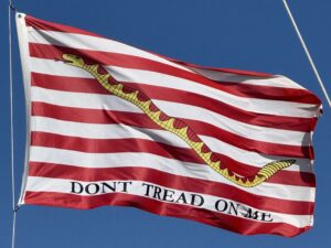Don't Tread on Me Navy Jack Flag