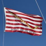 Don't Tread on Me Navy Jack Flag