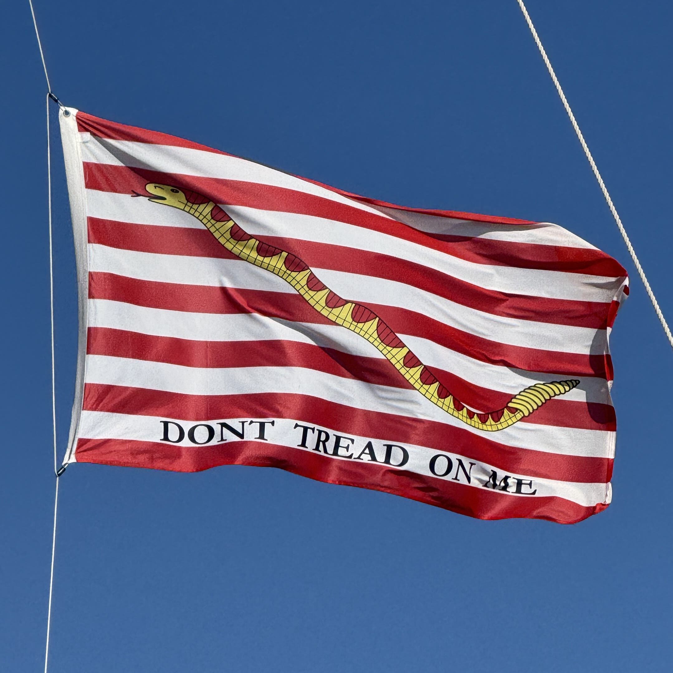 Don't Tread on Me Navy Jack Flag